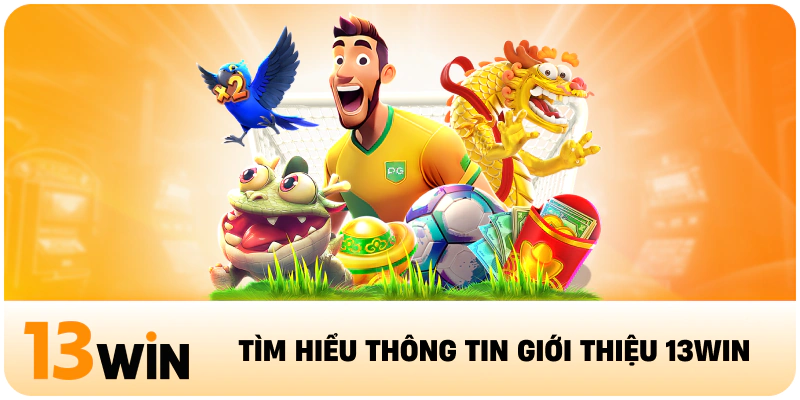 Tìm hiểu thông tin giới thiệu 13WIN